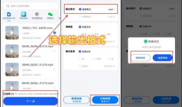 视频在线转换,轻松获取精彩内容概览