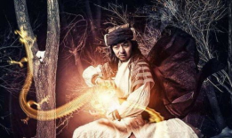 降龙十八掌视频,武林绝学一招一式揭秘